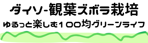 ダイソー観葉ズボラ栽培